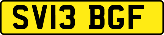 SV13BGF