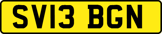 SV13BGN