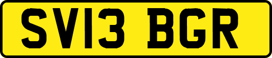 SV13BGR