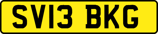SV13BKG