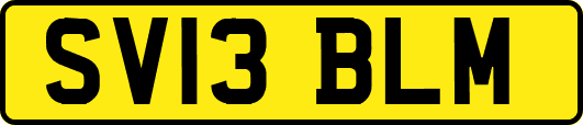 SV13BLM