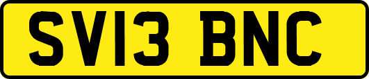 SV13BNC