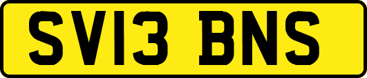 SV13BNS
