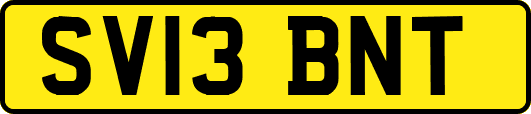 SV13BNT