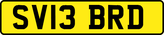 SV13BRD