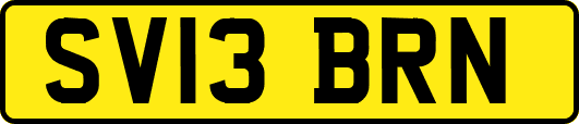 SV13BRN