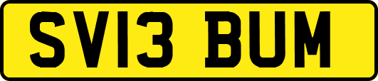 SV13BUM
