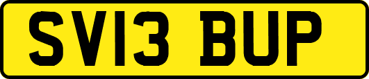 SV13BUP