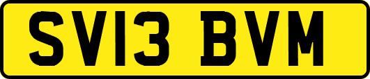 SV13BVM