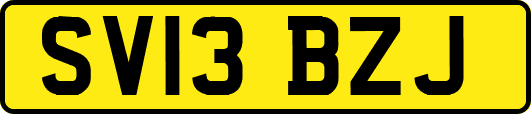 SV13BZJ