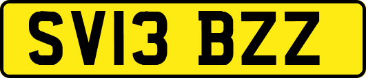 SV13BZZ