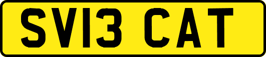 SV13CAT