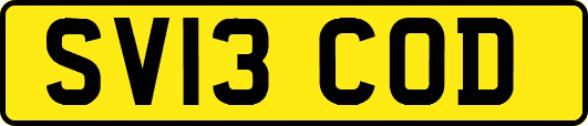 SV13COD