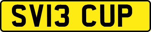 SV13CUP