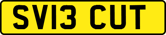 SV13CUT