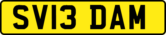 SV13DAM