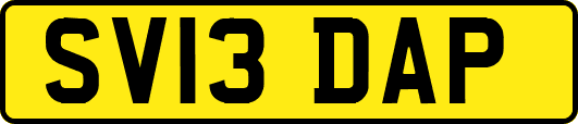 SV13DAP
