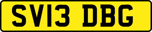 SV13DBG