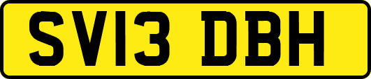 SV13DBH