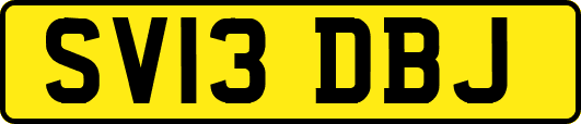 SV13DBJ