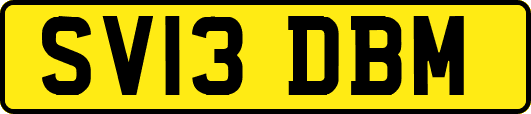 SV13DBM