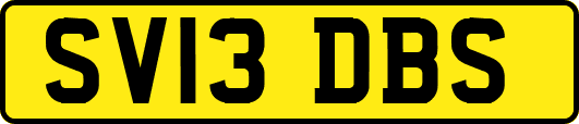 SV13DBS