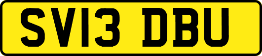 SV13DBU