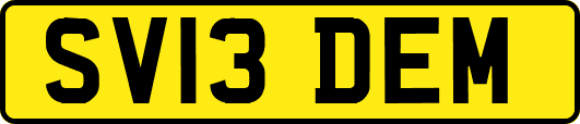 SV13DEM