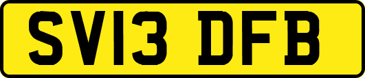 SV13DFB
