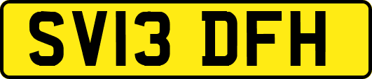 SV13DFH