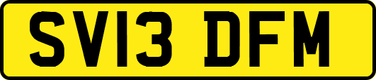 SV13DFM