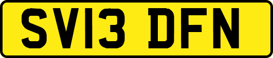 SV13DFN