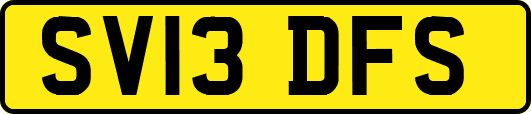 SV13DFS