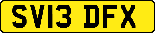 SV13DFX