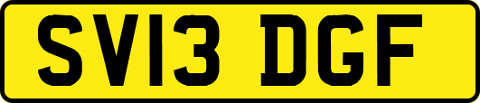 SV13DGF