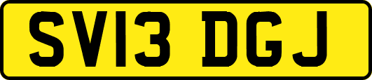 SV13DGJ