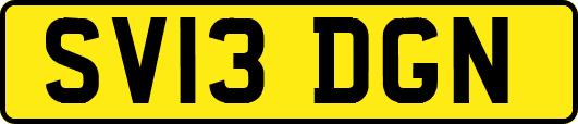 SV13DGN