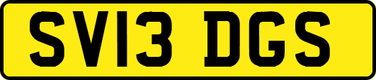SV13DGS