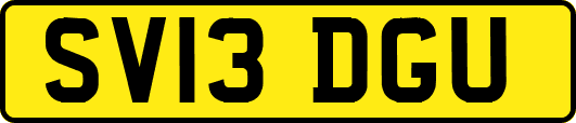SV13DGU