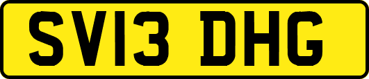 SV13DHG