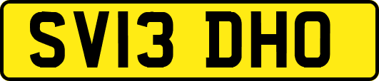 SV13DHO