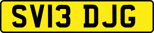 SV13DJG