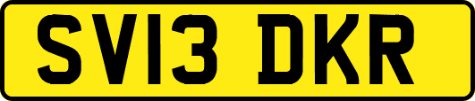 SV13DKR