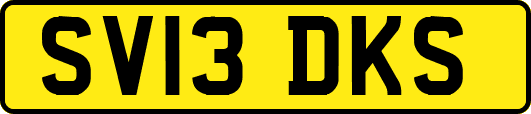 SV13DKS