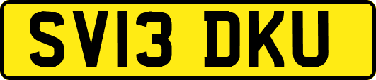 SV13DKU