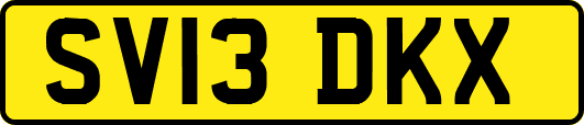 SV13DKX