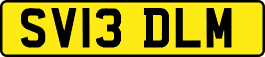 SV13DLM