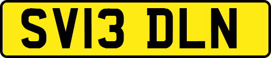 SV13DLN
