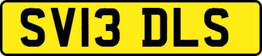 SV13DLS