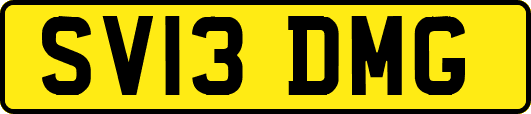 SV13DMG